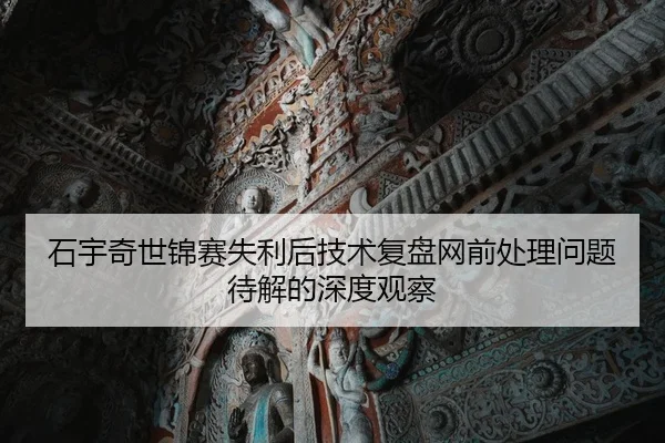 石宇奇世锦赛失利后技术复盘网前处理问题待解的深度观察