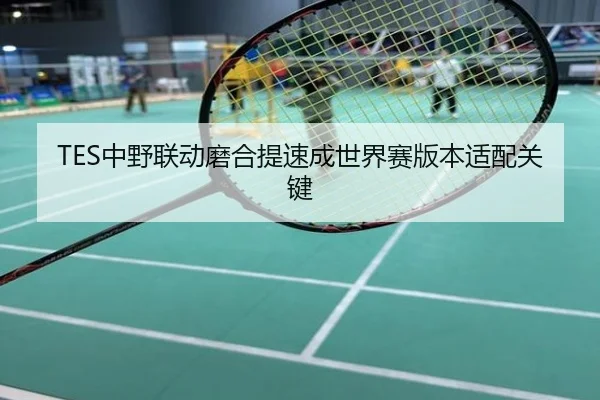 TES中野联动磨合提速成世界赛版本适配关键